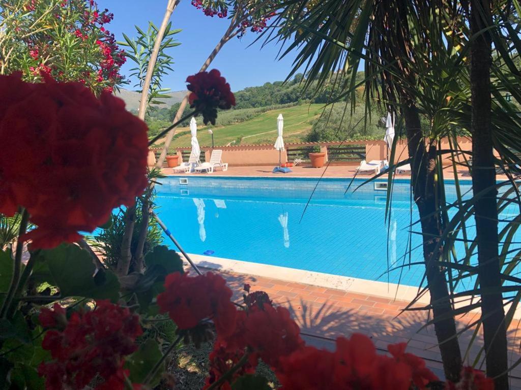 Rea Villa Coltodino Екстер'єр фото